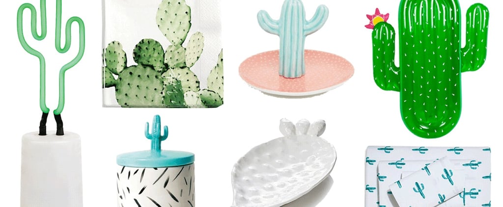 Cactus Decor