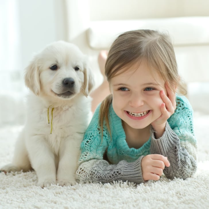 Dog Making Baby Laugh Video Popsugar Pets
