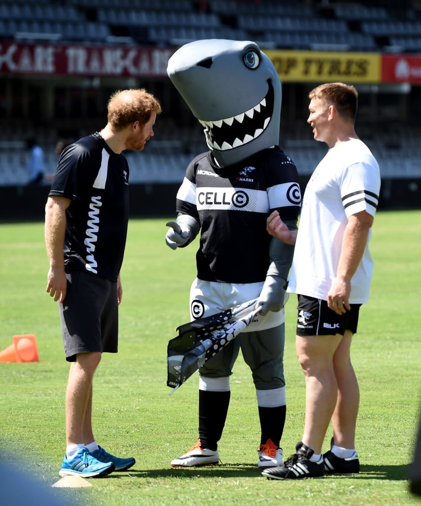 Prince Harry Plays Rugby With Sharks in South Africa