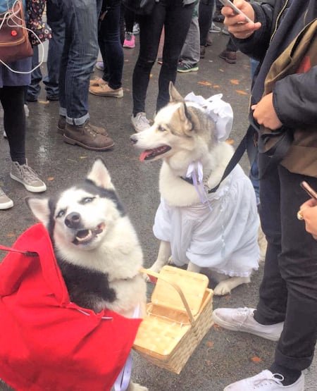 Little Red Riding Hood