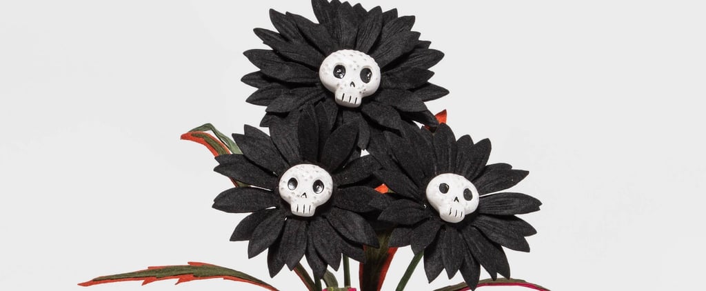 Halloween Succulents From Target