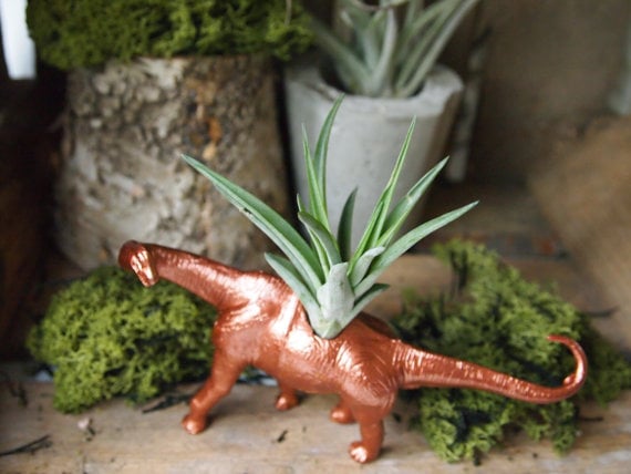 Small Copper Diplodocus Dinosaur Air Plant