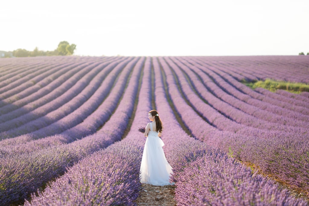 Engagement Shoot in Lavender Fields of Provence, France