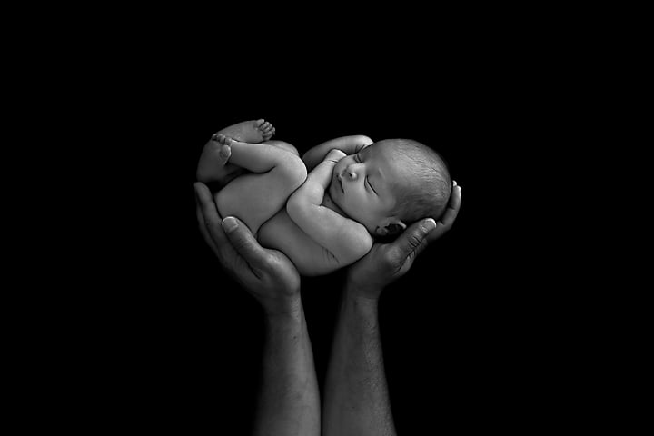 pics Lion King Newborn Photoshoot the lion king composite the secret