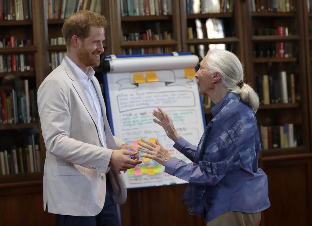 Prince Harry Meeting With Dr. Jane Goodall July 2019