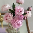 This Flower Delivery Service Has the Chicest Vase Option