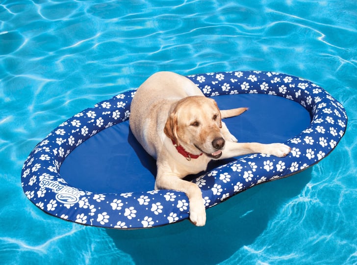 Swimways spring hot sale float uk