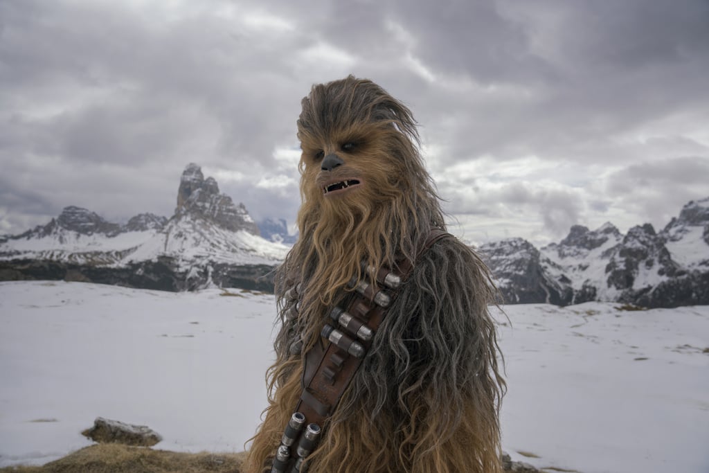 Chewbacca taking in some snowy vistas.