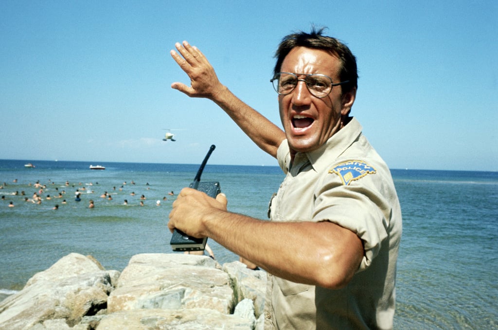 Police Chief Martin Brody From Jaws