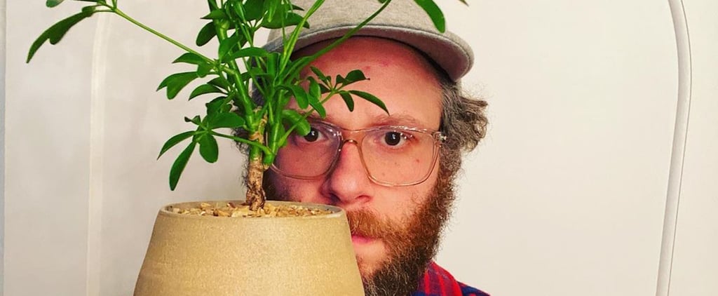I'm Just Really Living For Seth Rogen's Wholesome Pottery Content