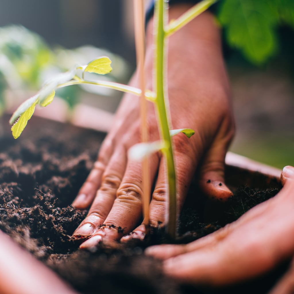 Reconnecting With My Indigenous Roots Helped Me Heal My Health