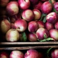 7 Insider Tips For Saving Money at the Farmers Market