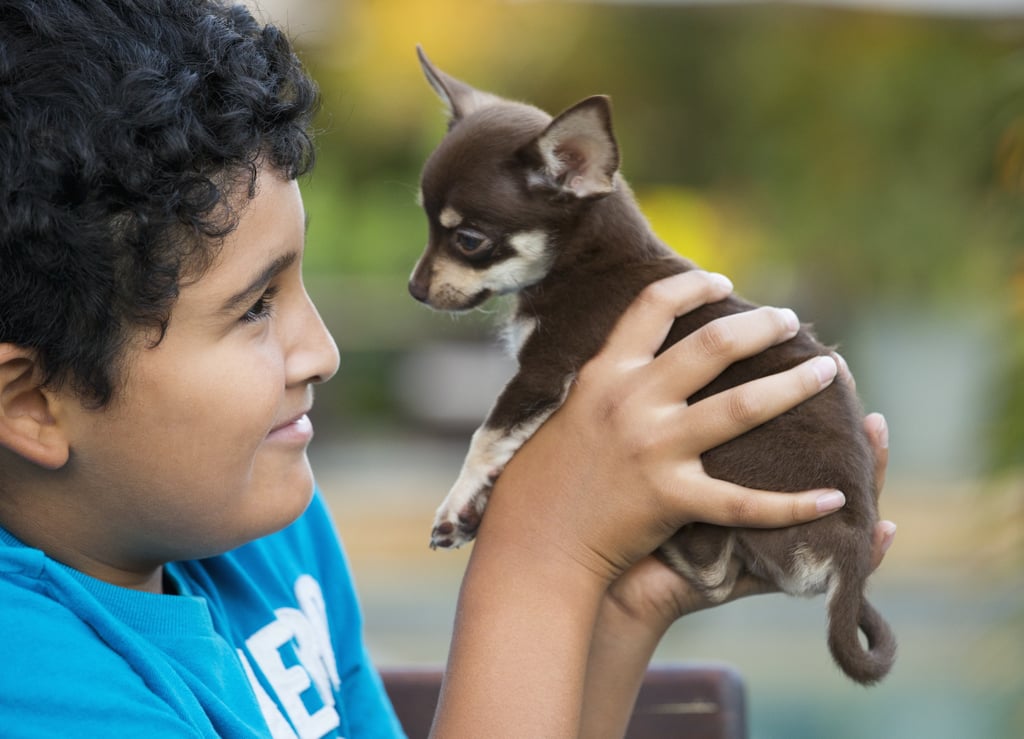 Cute Photos of Kids and Dogs