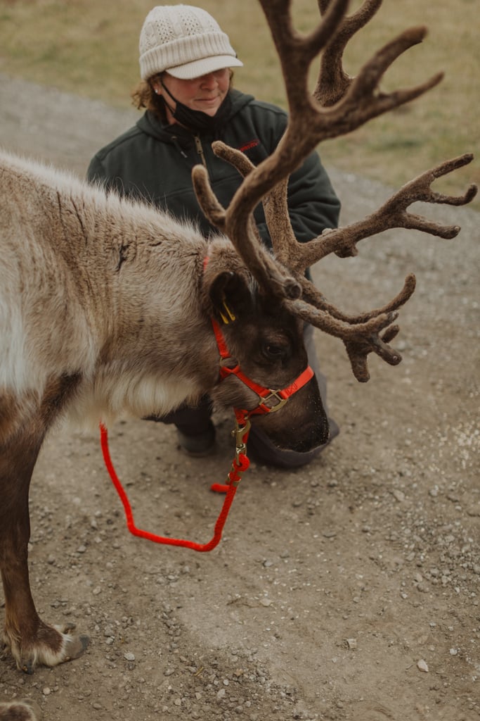 Outdoor North Pole Christmas Wedding Ideas