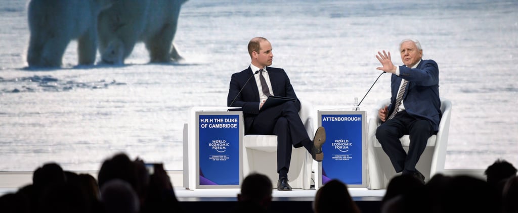 Prince William Talks With David Attenborough January 2019