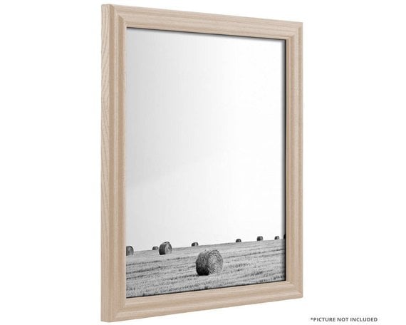 Craig Frames Whitewashed Wood Picture Frame
