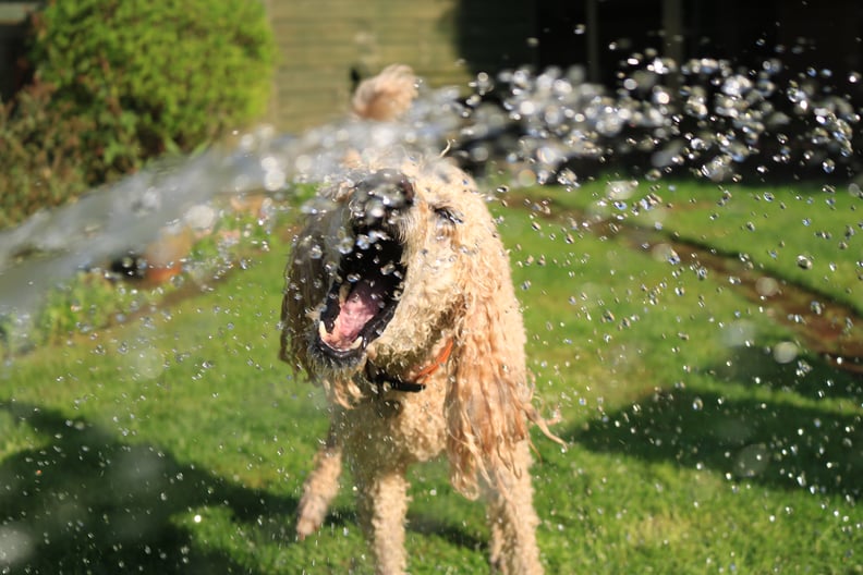 Involve Them in Backyard Water Fun