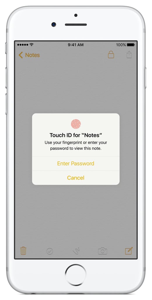 Password-protected notes