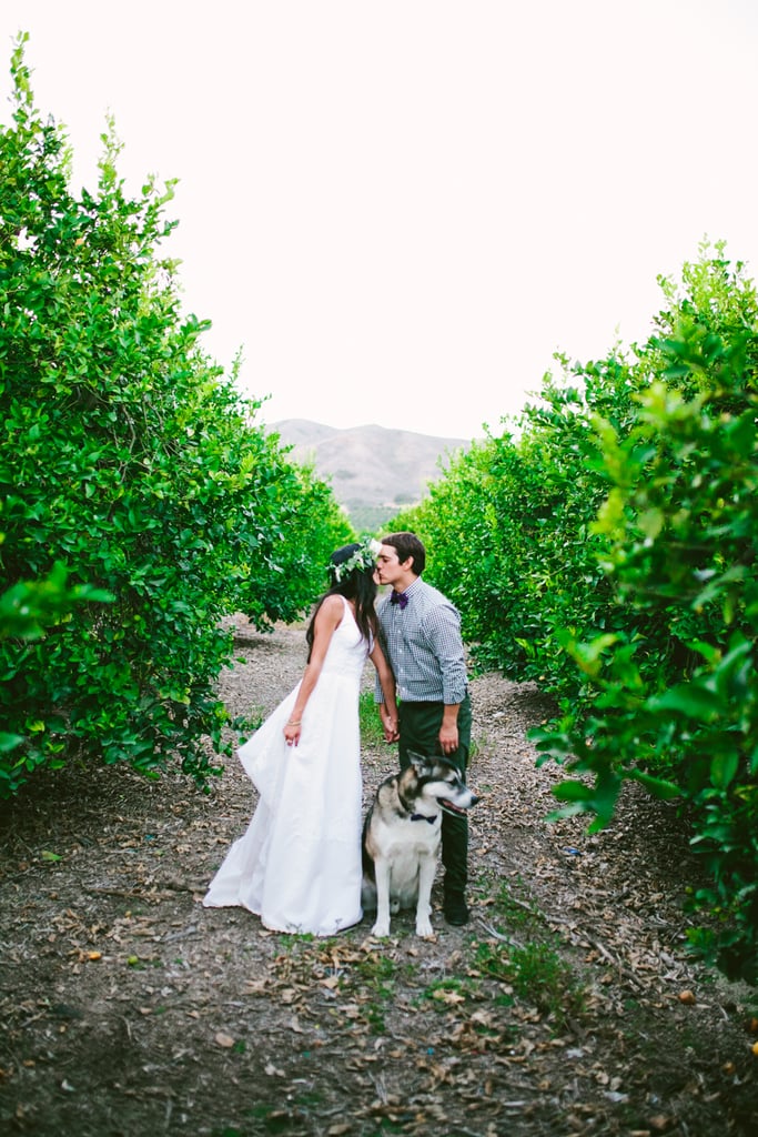Lemon Orchard Wedding