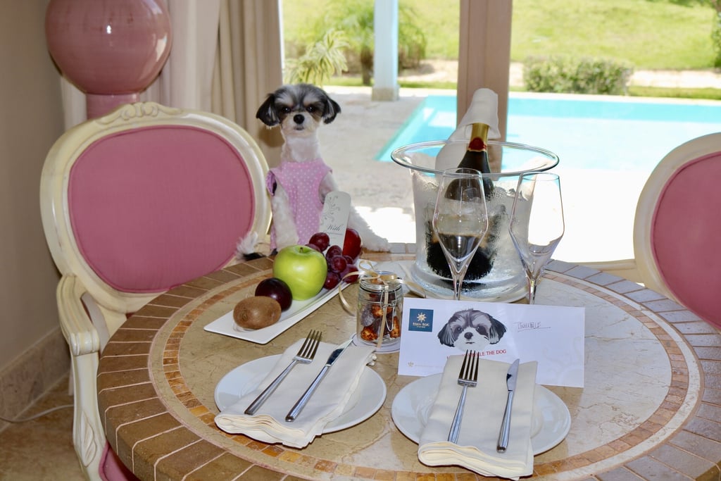 On vacation we wear pink and stay in PINK rooms! My luxury junior suite was fit for a princess, decorated with my favorite color, and included a personal outdoor deck and pool! Can you say "AMAZING"?!