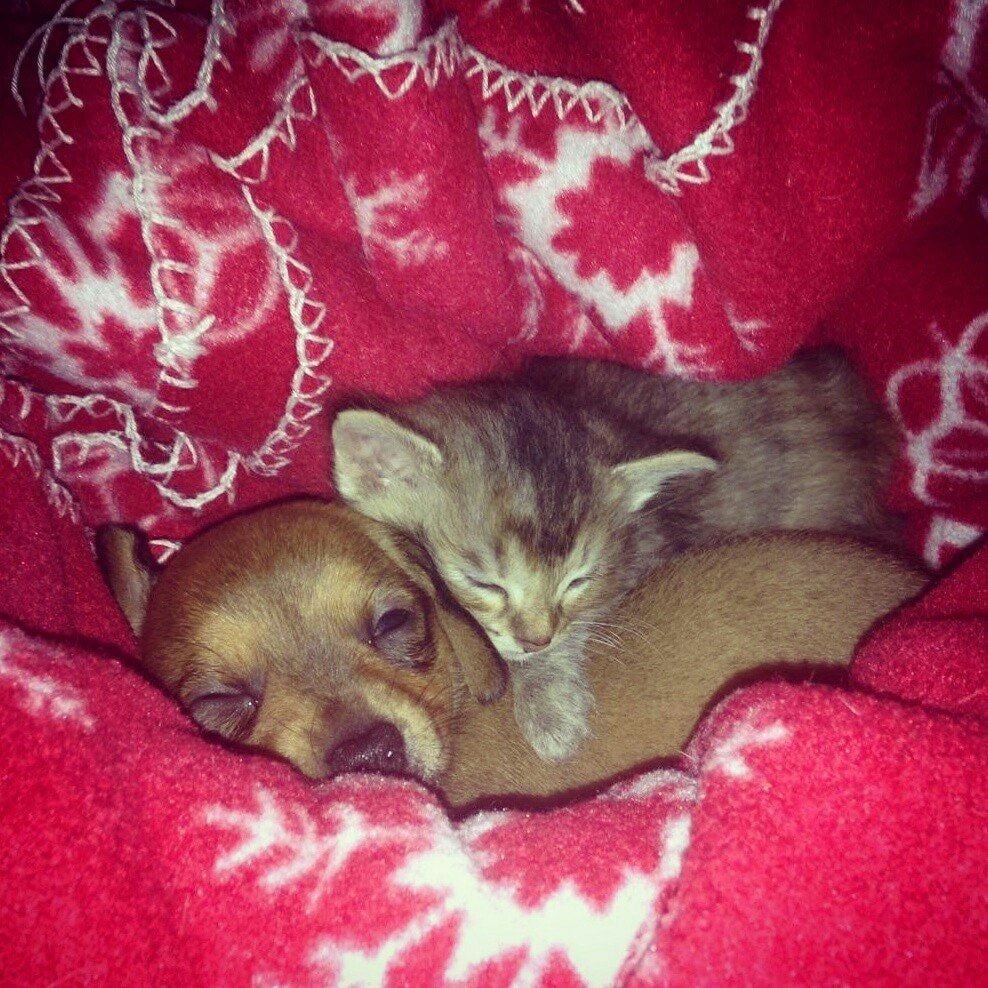 Snuggle time.