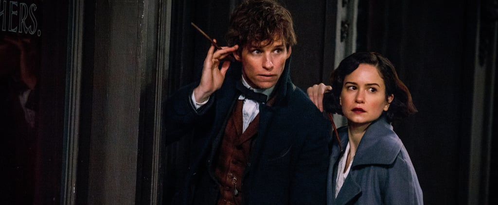 Who Narrates Fantastic Beasts and Where to Find Them?