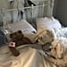 Dad Texts Family About Saving Dog's Stuffed Animal's Life