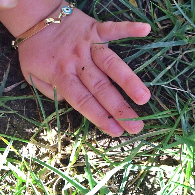 Vivan Brady spent some quality time with Mother Earth.
Source: Instagram user giseleofficial