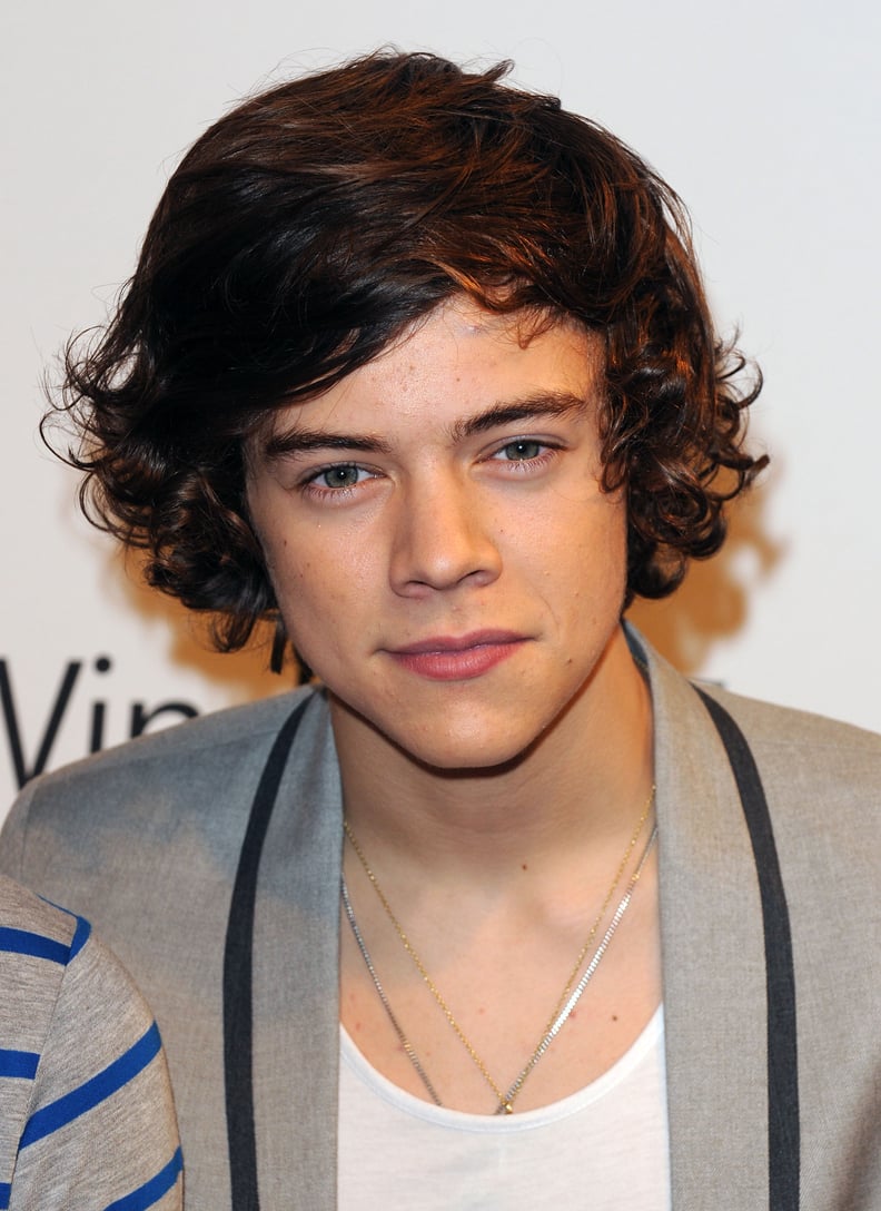 Harry Styles's Hair Evolution & Pictures