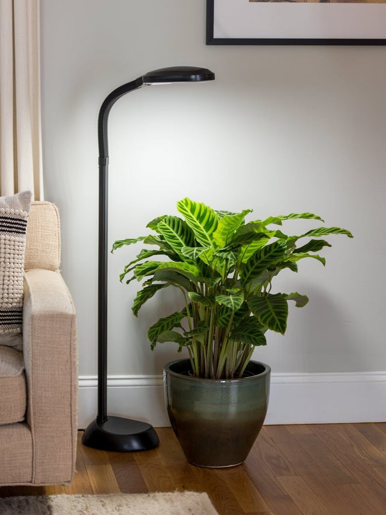 Agrobrite Floor LED Plant Lamp