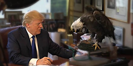 Bald Eagle Attacks Donald Trump | PS News