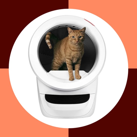 Litter-Robot vs. Meowant Litter Box: Reviews