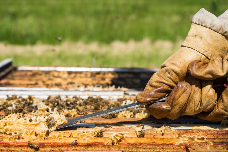 Pollen Indicates the Country of Origin and Affects the Flavor of the Honey