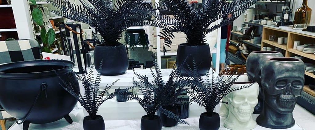 Target Has All-Black Ferns Perfect For Halloween Decorating