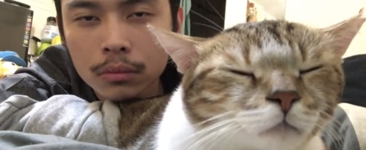 "Hotline Bling" Cat Video