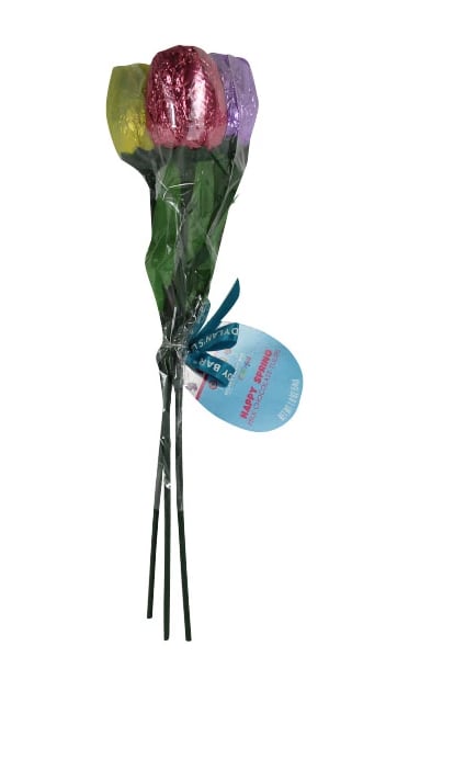 New Dylan's Spring Chocolate Tulips ($4)