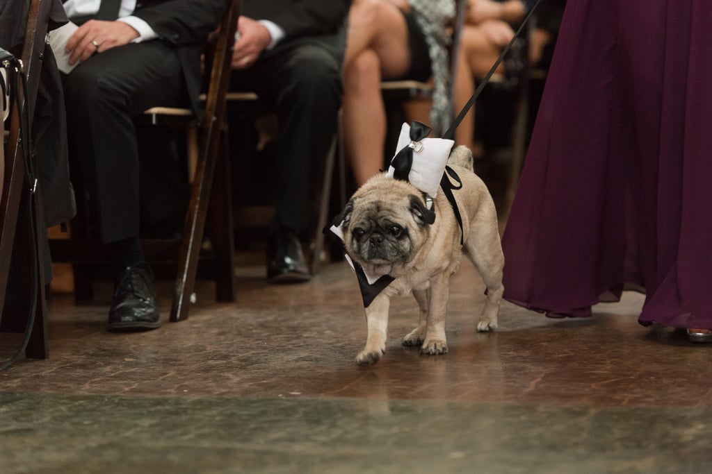 Dogs in Weddings