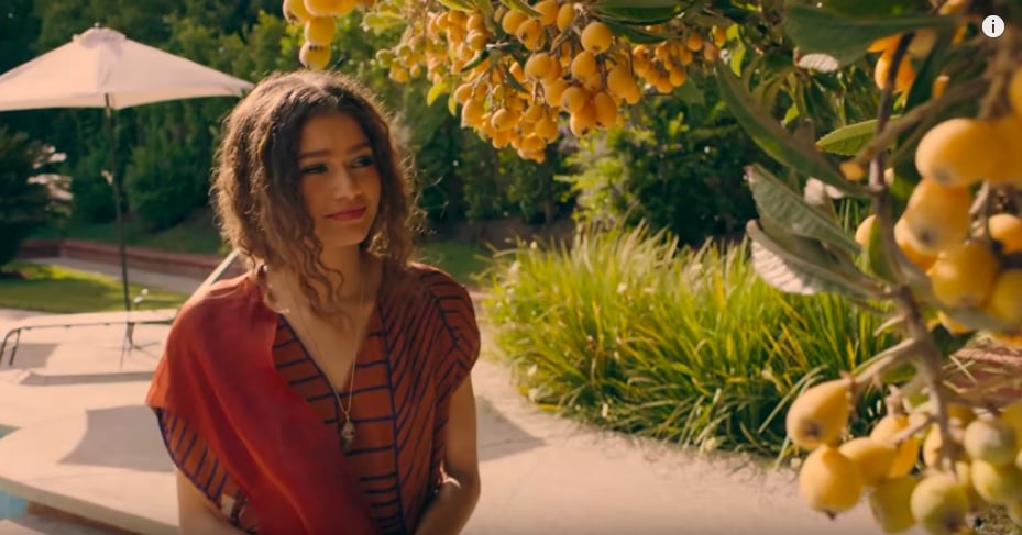Zendaya Has Plenty Of Fruit Trees In Her Backyard Including The