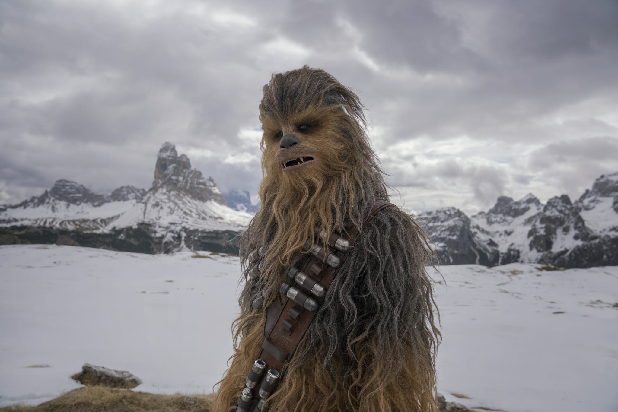 Snow chewbacca sales
