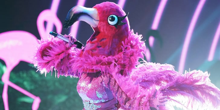 Who Are the Flamingo and Black Widow on The Masked Singer?  POPSUGAR Entertainment