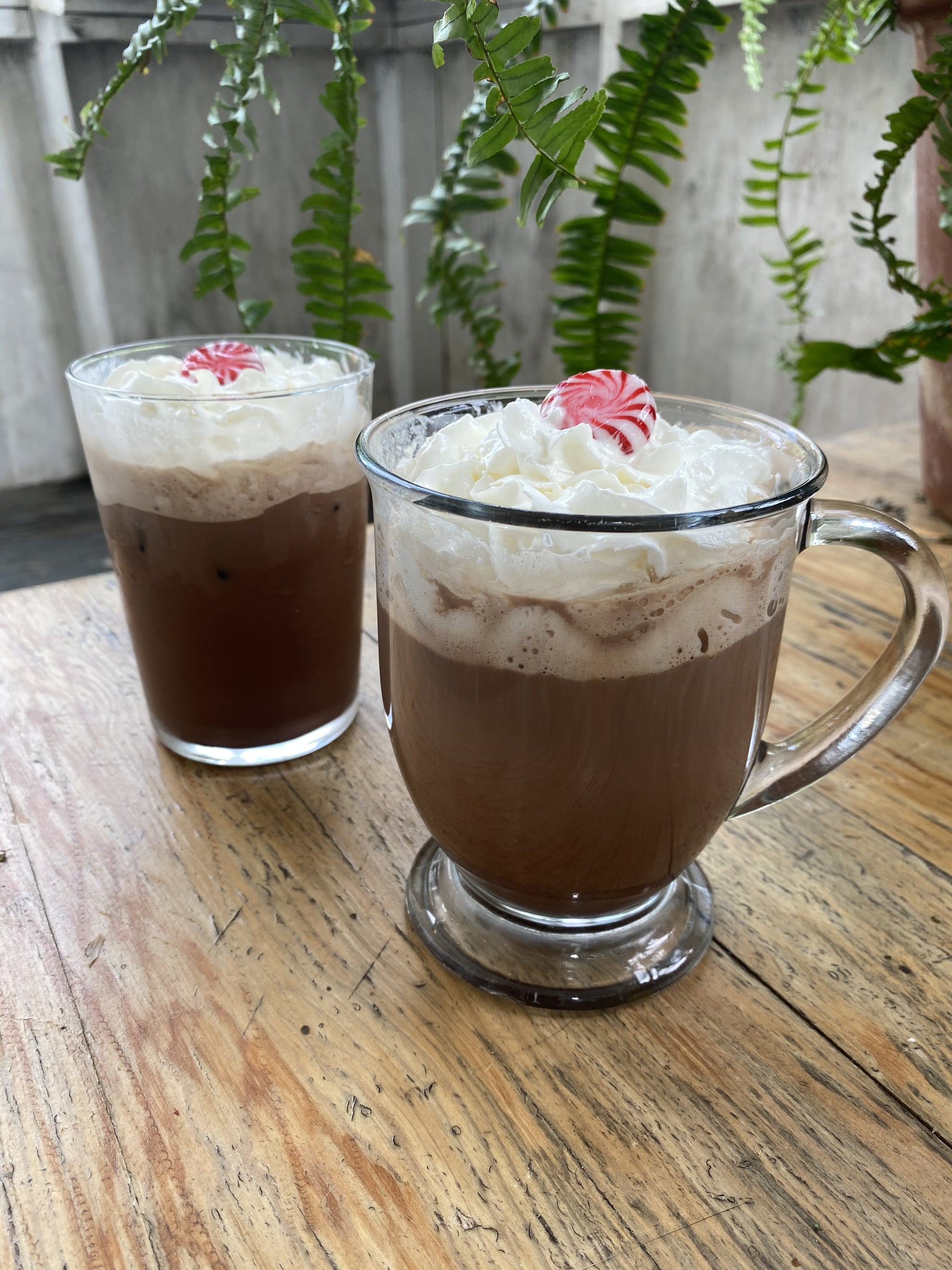 Peppermint Mocha Recipe