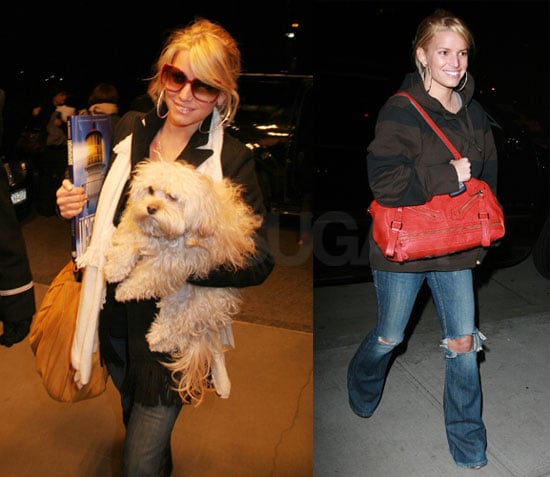 Jessica Simpson and her LV Dog Bag and Daisy in NYC | POPSUGAR Celebrity
