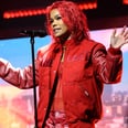 Harry Styles, Lady Gaga, and More Singers Who Stopped Performing Midshow to Help Fans