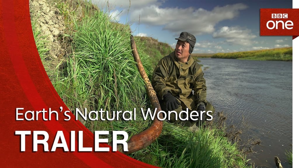 Best Nature Shows on Netflix 2019 POPSUGAR Entertainment UK
