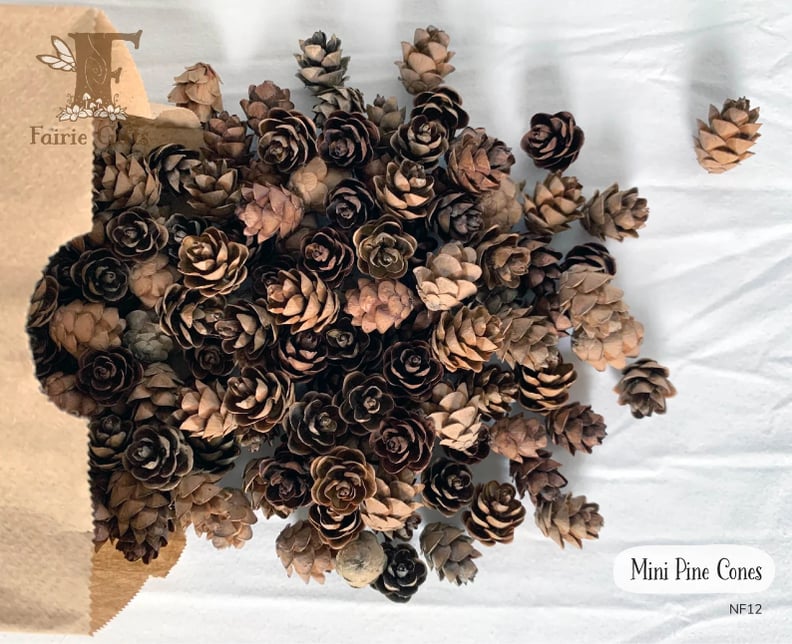 Flower Girl Alternatives to Petals: Mini Pinecones