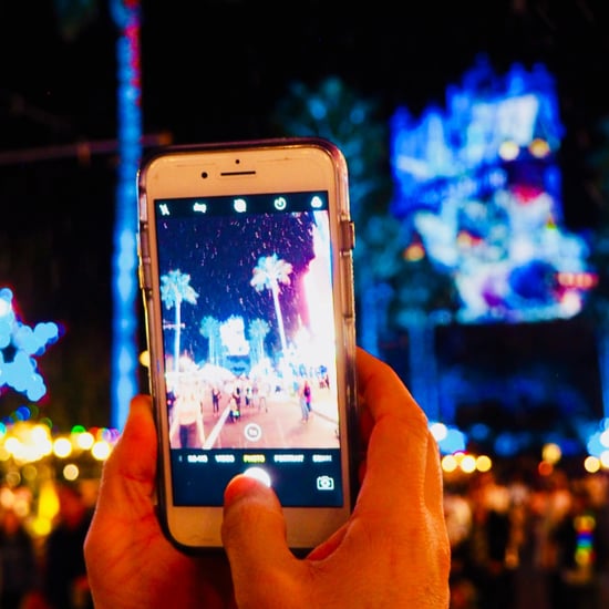 What Are FuelRods at Disney?