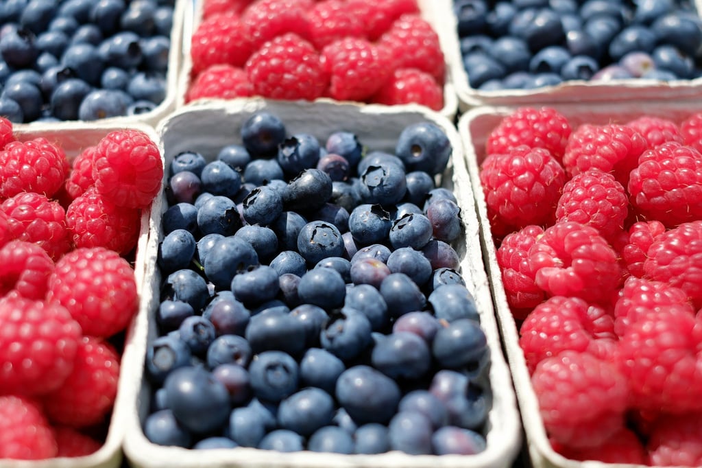 Frozen Berries