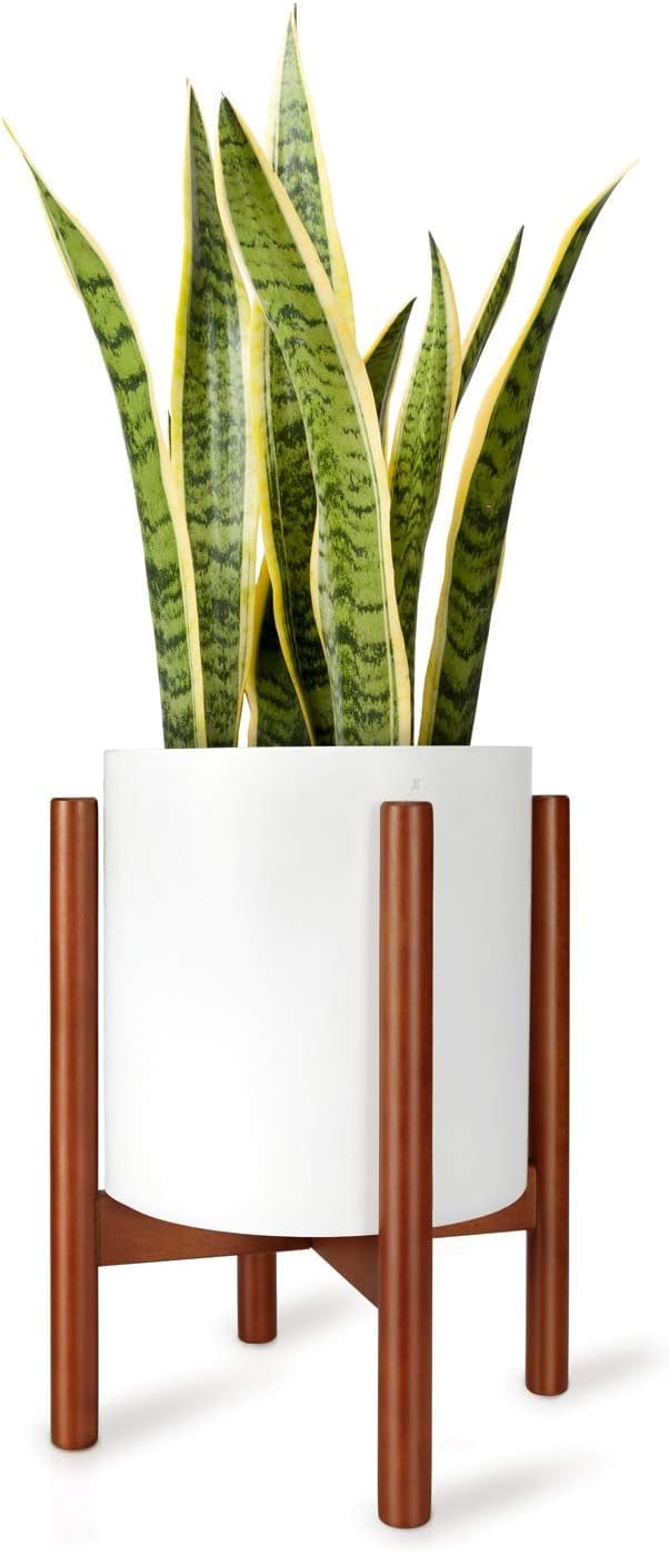 Best Plant Stand