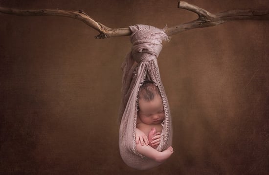 professional newborn photographer