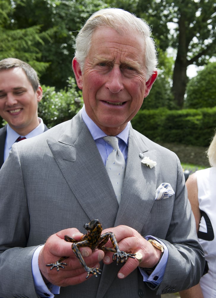 Photos of Prince Charles With Animals | POPSUGAR Celebrity Photo 38